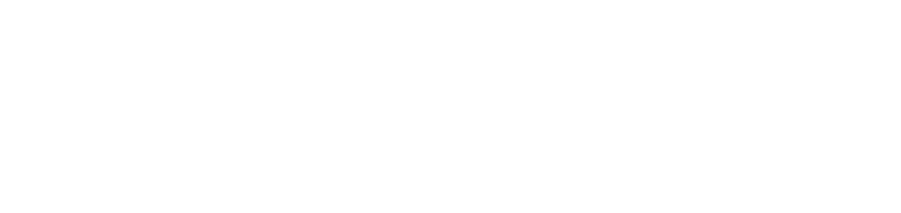 Szybki Racing Logo